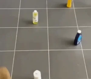 Robô Aspirador 3 em 1