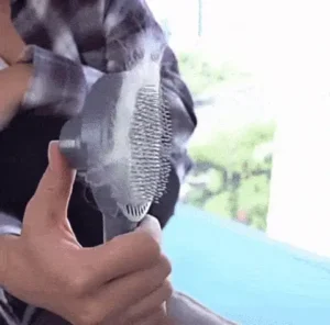 Escova Removedora de Pelos