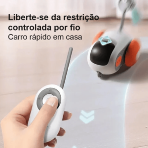 Ratinho Controle Remoto
